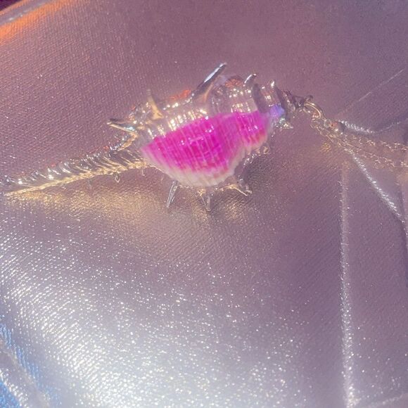 Conch Seashell Necklace pink blue Gold Plated And Gift Boxe - Picture 2 of 2